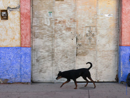 Tonal&aacute;, Mexico