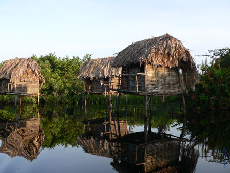 LaTovaraArnow03