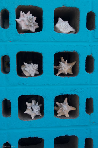Concrete and conch