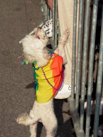 gaypride04 054