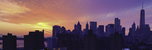 View of Lower Manhattan with the World Trade Center. Photo by Pat Arnow