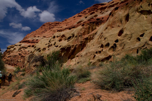 Cohab Canyon Trail,