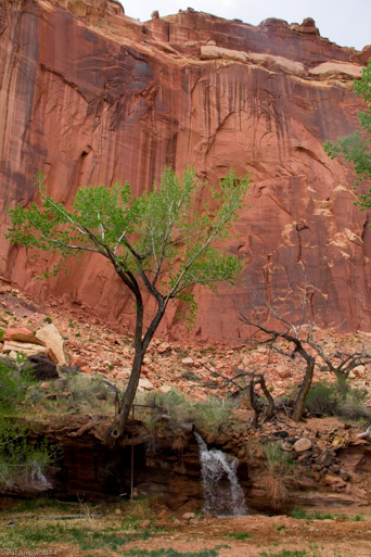 Desert and Water
