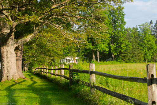 Berkshires in July