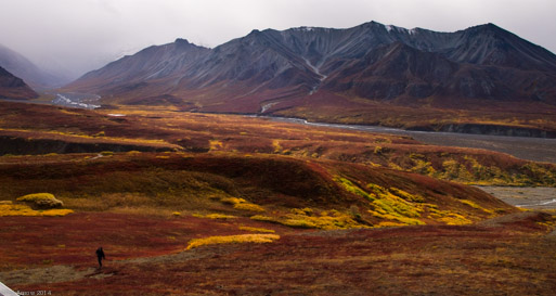 Vast Tundra