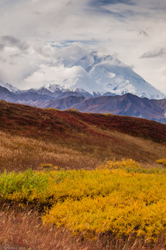 Tundra and Mt. McKinley