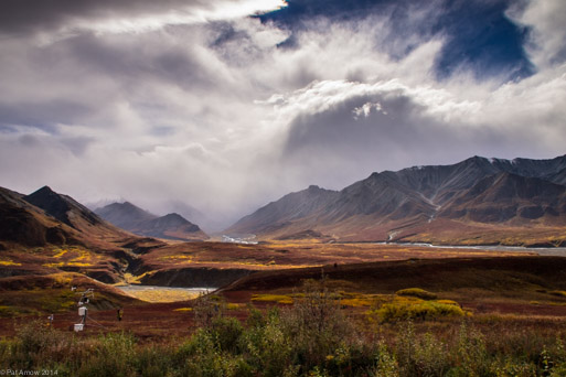 Denali National Park